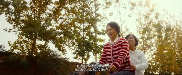 李冰冰最近为啥不拍电影了(新片票房刚刚破亿)(25)