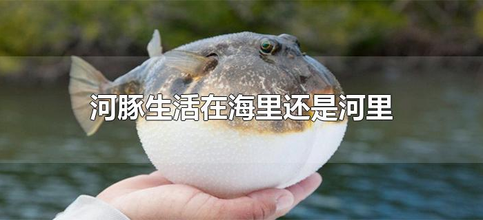 河豚生活在海里还是河里