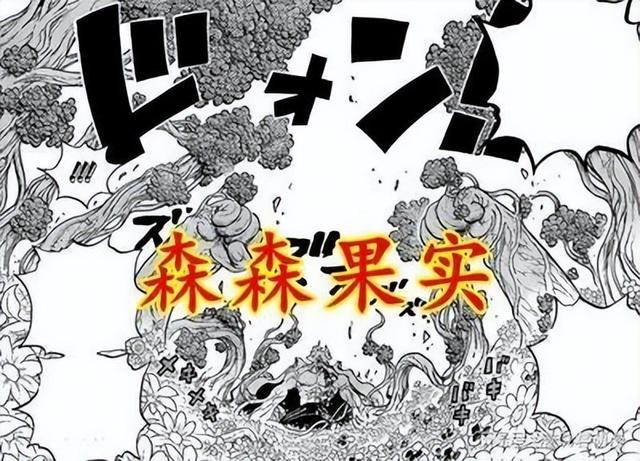 海贼王10个最强的恶魔果实（五颗能增加寿命的恶魔果实）(3)