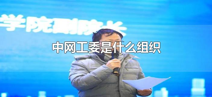 中网工委是什么组织