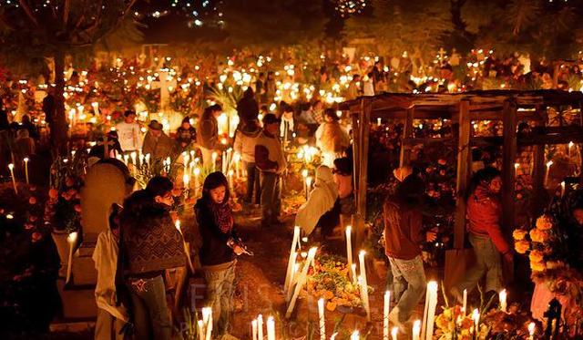 电影生命之树画面分析(生命之书重新定义)(2)