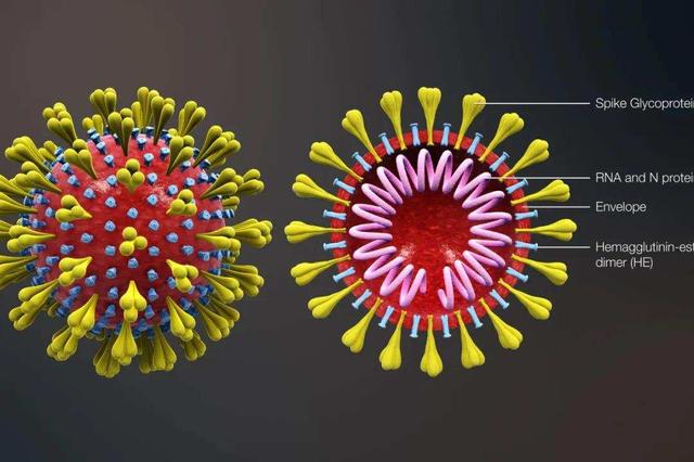 科学家复活了远古病毒（科学家已有能力在实验室中合成病毒）(4)