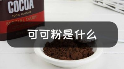 ​可可粉的作用与副作用（可可粉的作用与副作用有什么）