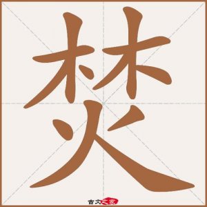 ​焚怎么读（焚念什么）