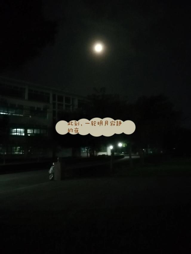 待在大学女生宿舍的夜晚（高三宿舍里骚动的青春难以平静）(4)