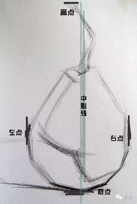 从零基础学素描的步骤（零基础自学素描小常识分享素描）(18)