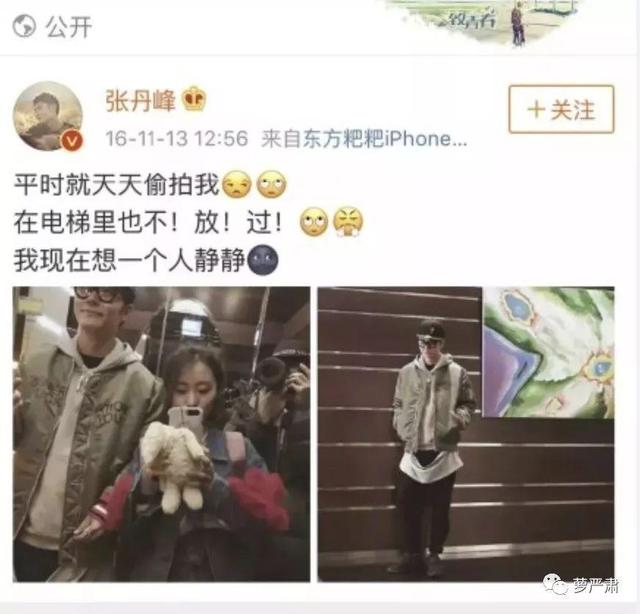 张丹峰妻子洪欣现状（张丹峰的妻子终于发声了）(20)