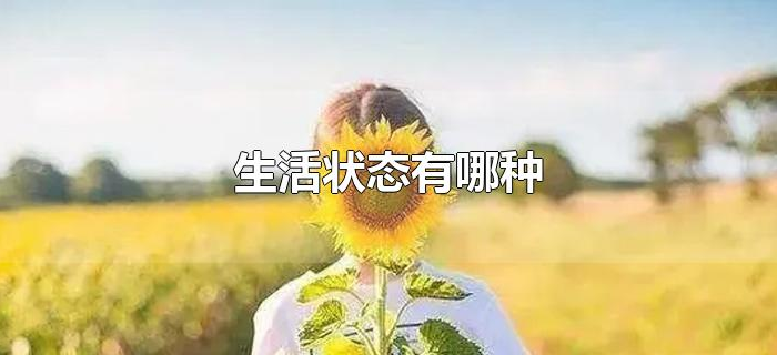 生活状态有哪种