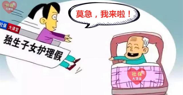 在什么年龄开始办理独生子女补贴（独生子女家庭的待遇迎来新规）(8)