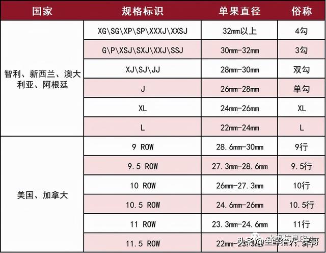 车厘子等级对照表图（车厘子箱标科普及常见车厘子国家产季表）(10)