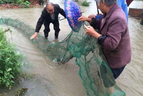 下地笼是什么意思