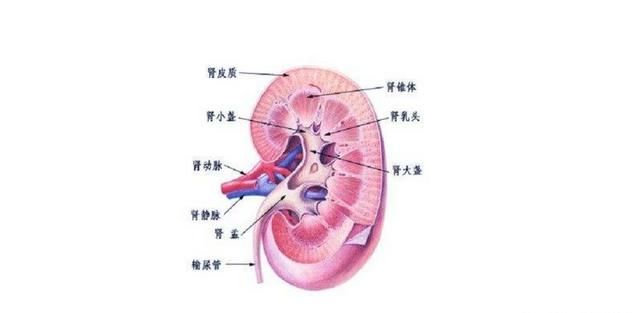 倒立喝水，宇航员在太空怎样行走喝水洗澡的？图7