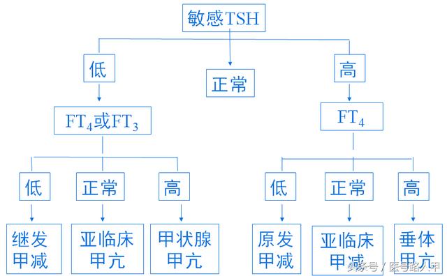 甲亢三大表现及特征（5大临床表现提示你可能得了甲亢）(3)