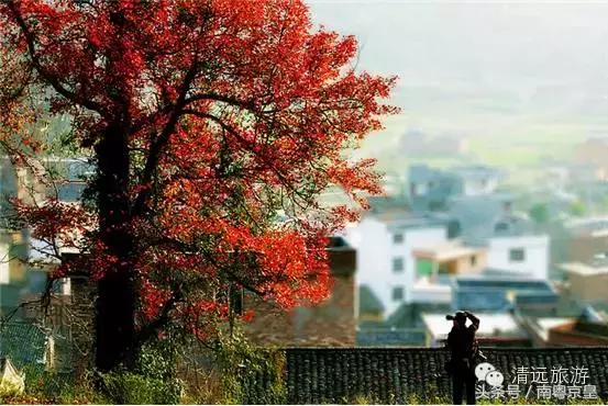 清远连州十大景点大全（粤北有座低调的千年古城）(21)