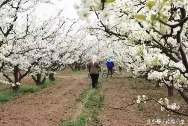 清远连州十大景点大全（粤北有座低调的千年古城）(9)