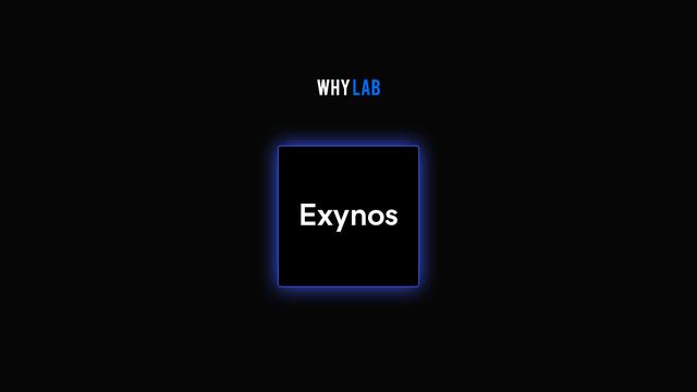 三星exynos1080芯片性能怎么样（风光一时聊聊三星）(1)