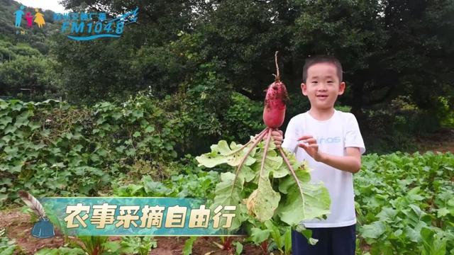 适合孩子们的暑期课程（这可能是周末最好的课堂）(14)