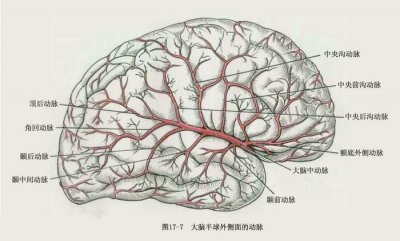 ​人类的大脑其实很可怕 不会感到疼痛还会自相残杀