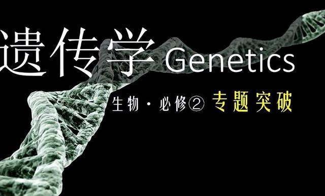 生物学习方法高中（高中生物的6种学习方法）(3)