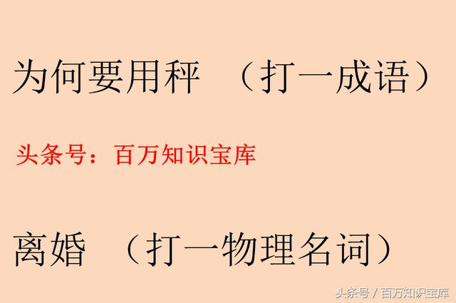 猜字谜岳父大人打一字（猜谜语丈夫的外祖母）(3)