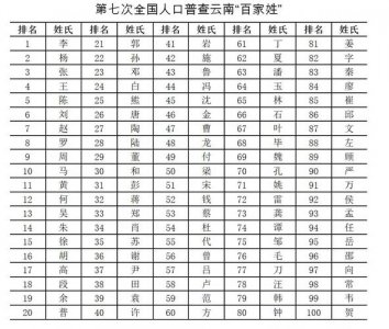 ​七次全国人口普查姓氏排名（第六次人口普查）