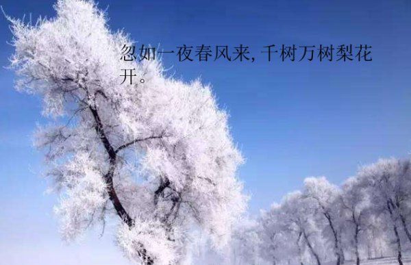 忽如一夜春风来是什么季节,古诗词中“忽如一夜春风来千树万树梨花开”图2