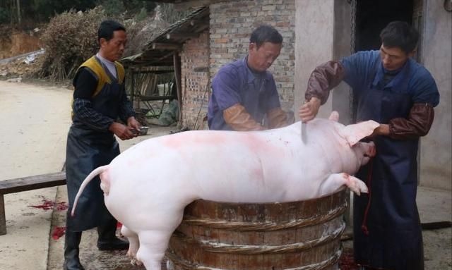 明朝的犯人为什么会被梳洗,明朝的残忍陋习图4