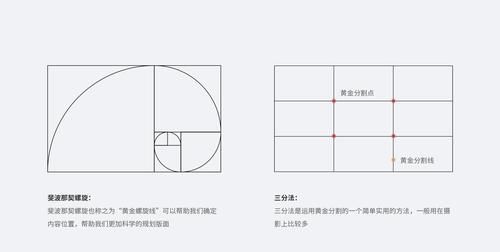 黄金比例的故事