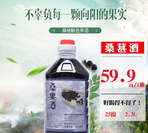 新鲜桑葚酒的泡法和比例