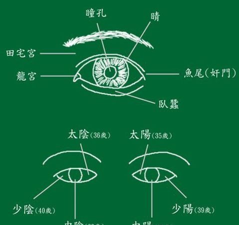 眉毛是五官之首文案