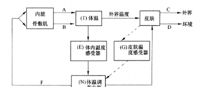 ​人体散热的方式有哪四种,人体有哪些散热途径