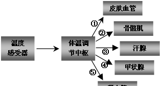 人体的主要散热方式有哪些