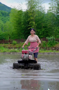 ​乡愁沈丹个人资料简介(从离异负债到带全村人致富，单亲妈妈如何完成蜕变？)