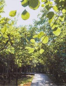 ​涓€澶╀竴鏃ユ父鍘诲摢閲屾渶濂藉厤璐?瑗垮畨涓€澶╀竴鏃ユ父鍘诲摢閲屾渶濂?