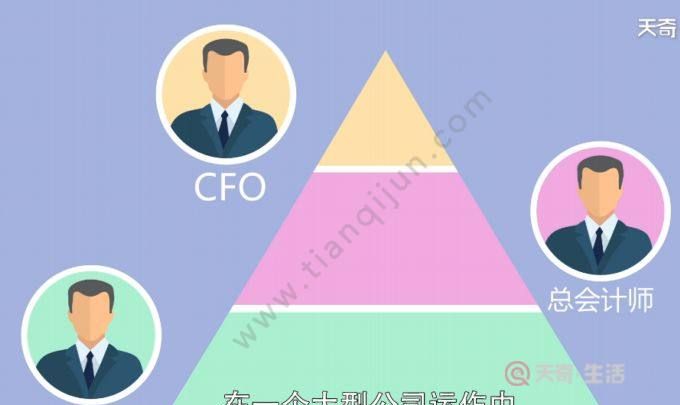 cfo 是什么职位