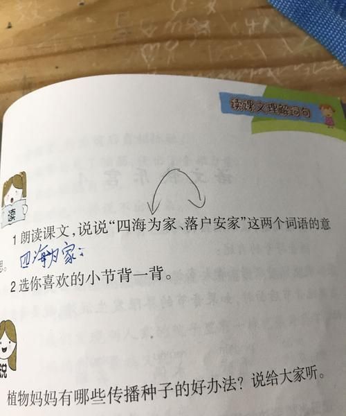 四海一家是指什么生肖动物