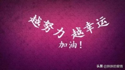 ​励志文章大全500字(心灵鸡汤1000字励志文章大全)