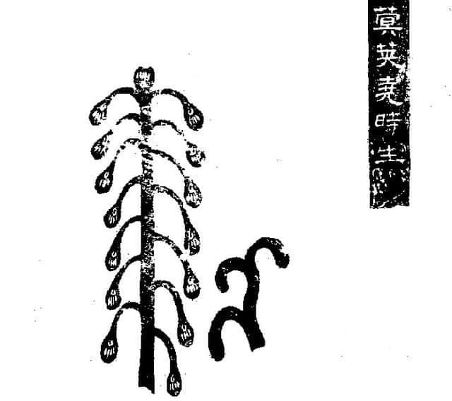 发明地动仪的张衡是谁（张衡发明地动仪的故事）