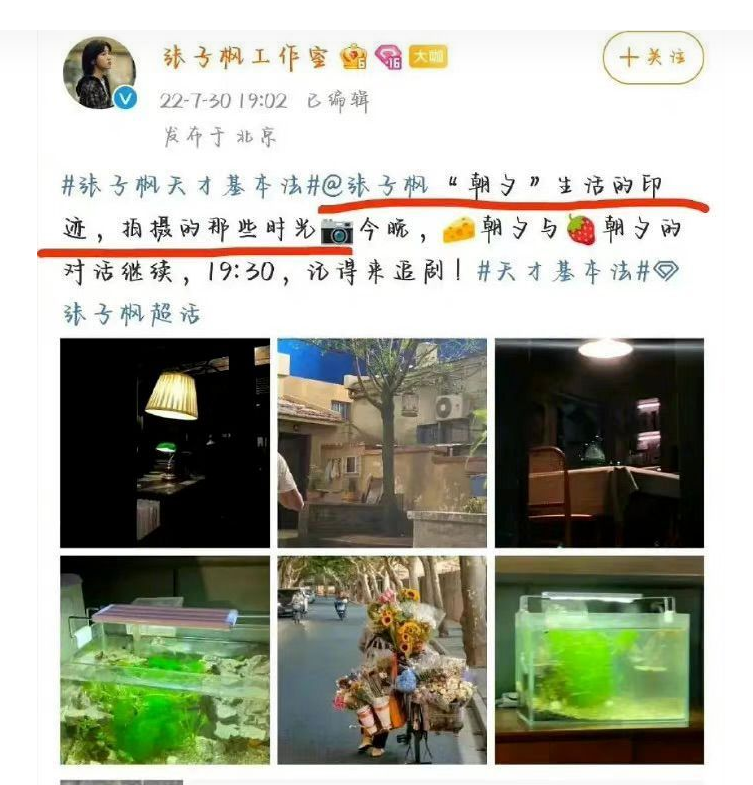 张子枫，你醒醒吧