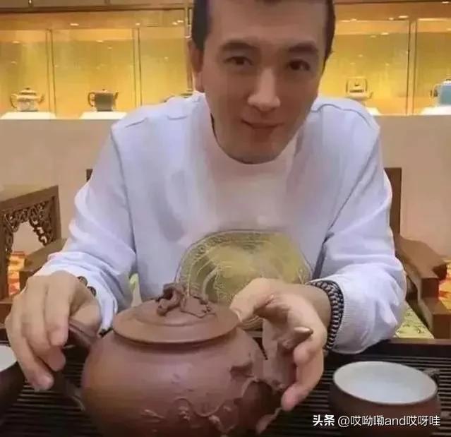 杨子为什么娶黄圣依(黄圣依为什么要嫁给杨子)