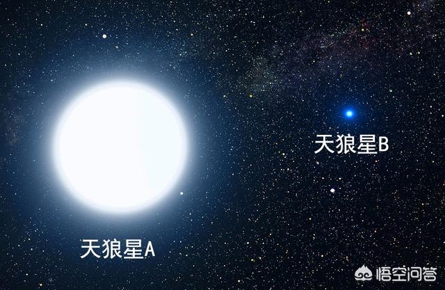 天狼星在什么位置(天狼星是什么星)