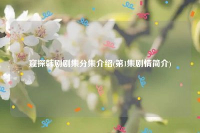 ​窥探韩剧剧集分集介绍(第1集剧情简介)