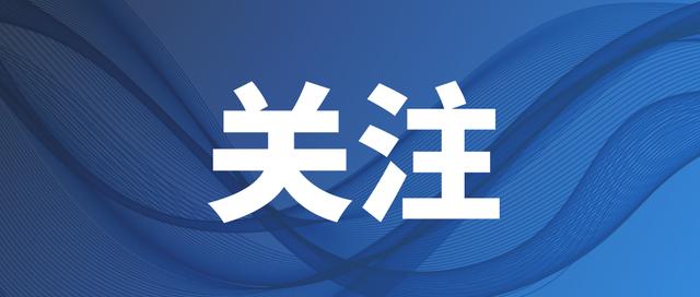 瓜子二手车平台的二手车估价查询有多“硬核”-