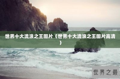 ​世界十大流浪之王图片（世界十大流浪之王图片高清）