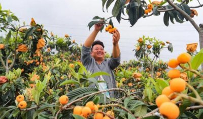 ​入伏第一天吃什么菜好（这3种食物建议大家多吃点）