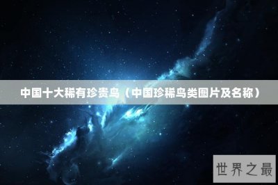 ​中国十大稀有珍贵鸟（中国珍稀鸟类图片及名称）