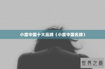 ​小度中国十大品牌（小度中国名牌）