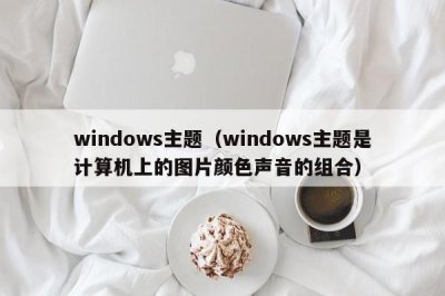 ​windows主题（windows主题是计算机上的图片颜色声音的组合）