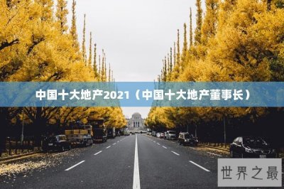 ​中国十大地产2021（中国十大地产董事长）