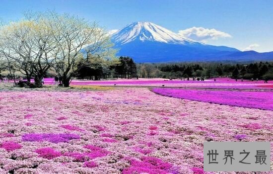 世界十大失恋疗伤圣地排行榜，失恋的人来到这里忘掉烦恼。